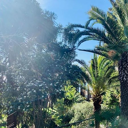 Le Port Tamaris Apartment La Seyne-sur-Mer Bagian luar foto