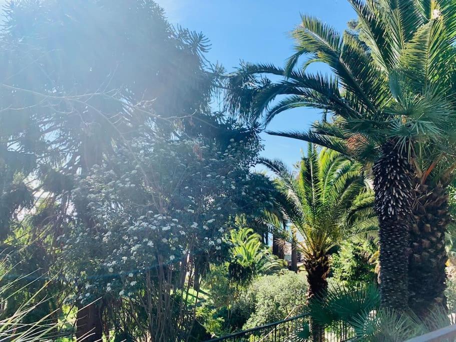 Le Port Tamaris Apartment La Seyne-sur-Mer Bagian luar foto