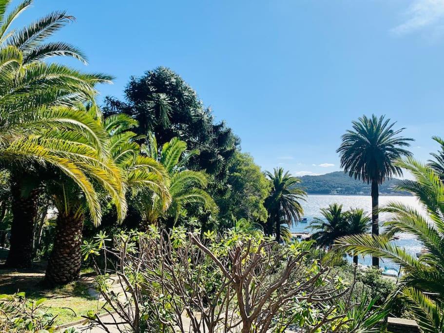 Le Port Tamaris Apartment La Seyne-sur-Mer Bagian luar foto